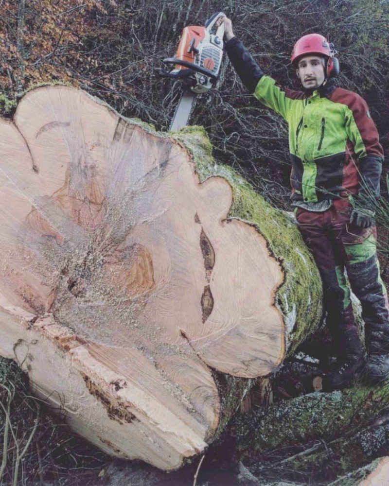 Élagage en Haute-Corrèze — chantier réalisé par ElaGus