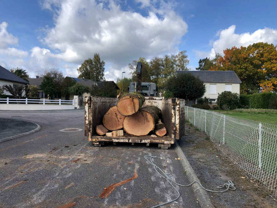 Chantier d'élagage ElaGus — Haute-Corrèze