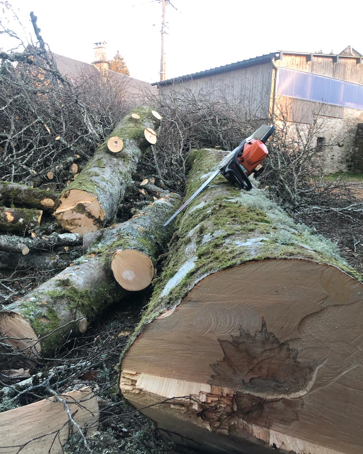 Démontage et broyage — chantier ElaGus Corrèze