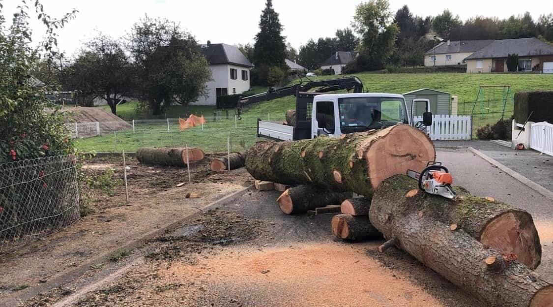 Abattage directionnel — technique professionnelle ElaGus